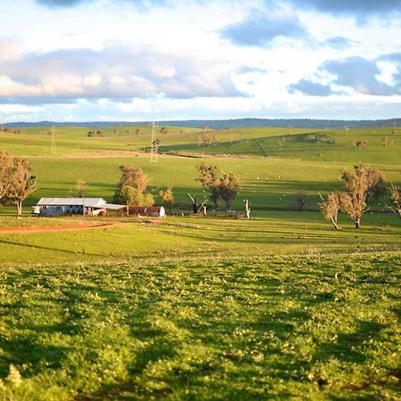 Wantana Cottage Farmstay Boorowa Exterior foto