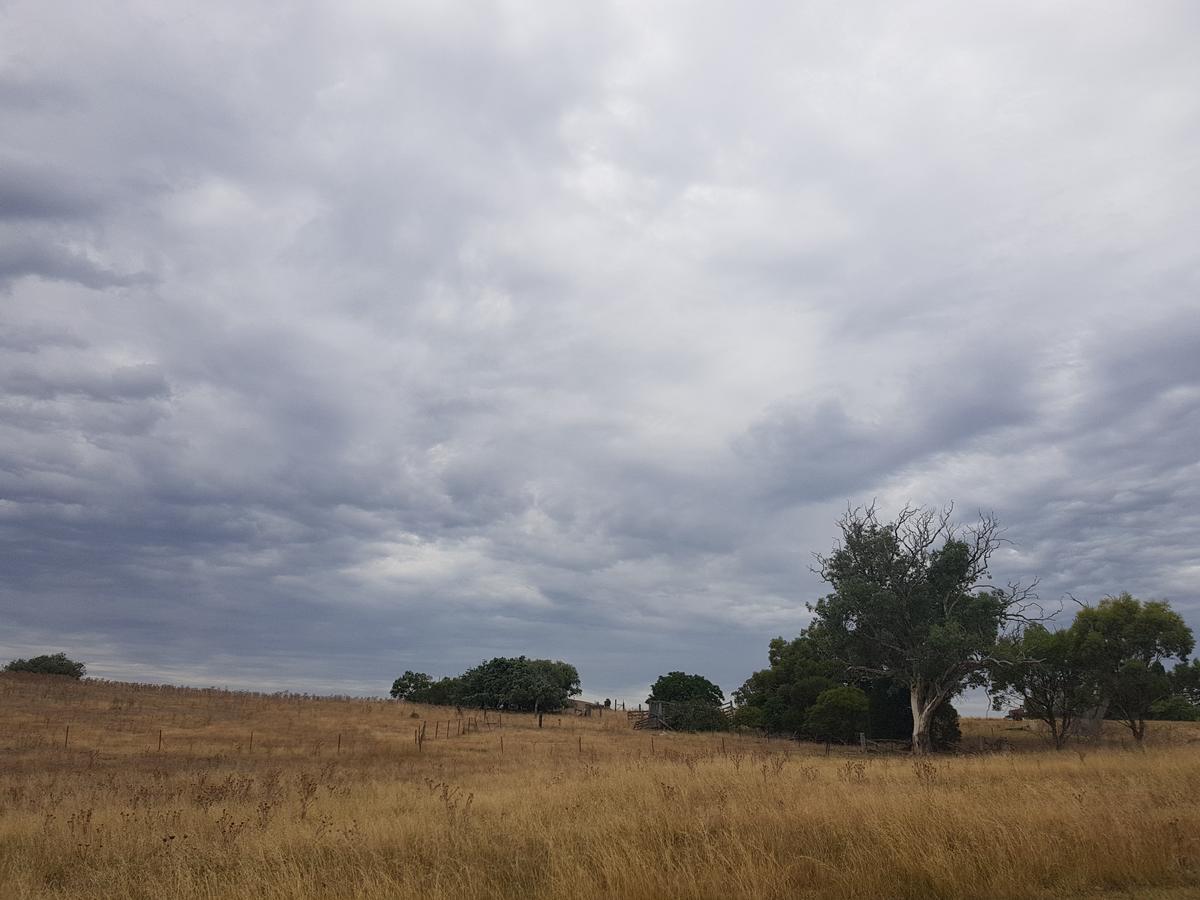 Wantana Cottage Farmstay Boorowa Exterior foto